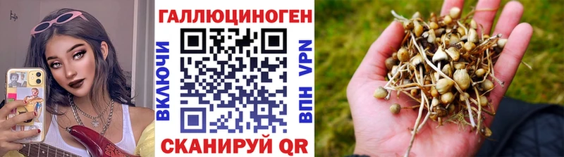Псилоцибиновые грибы Magic Shrooms  Купить закладки  Жуковка 